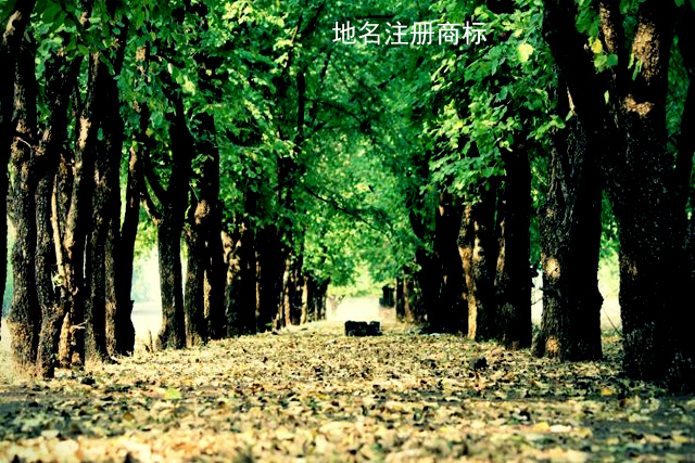 使用地名注冊商標(biāo)可以嗎? 使用地名注冊商標(biāo)可以嗎?
