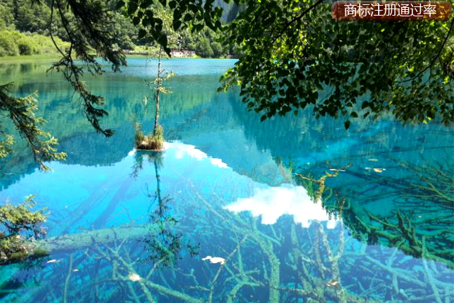 商標(biāo)注冊(cè)提高通過(guò)率的具體操作 商標(biāo)注冊(cè)提高通過(guò)率的具體操作