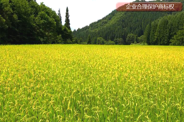 企業(yè)應(yīng)該如何合理使用注冊商標(biāo)不被侵權(quán)? 企業(yè)應(yīng)該如何合理使用注冊商標(biāo)不被侵權(quán)?
